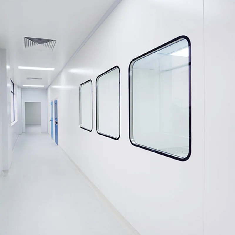 Clean room double glass window